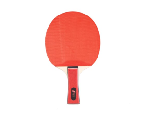 PALA PING-PONG EQSI
