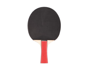 PALA PING-PONG EQSI