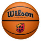 BALÓN BALONCESTO WILSON EVO NXT  T 7