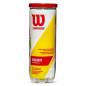 BOTE 3 PELOTAS TENIS WILSON CHAMPIONSHIP BOTE 3 PELOTAS TENIS WILSON CHAMPIONSHIP
