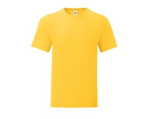 CAMISETA FRUIT OF THE LOOM ICONIC