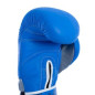 PAR DE GUANTES BOXEO FULLBOXING MASTER  14 OZ