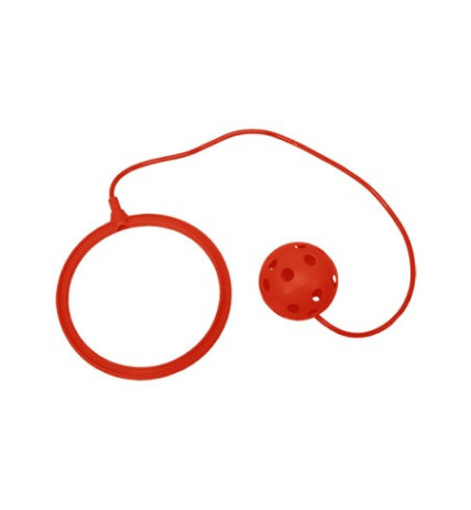 PELOTA CON ASA