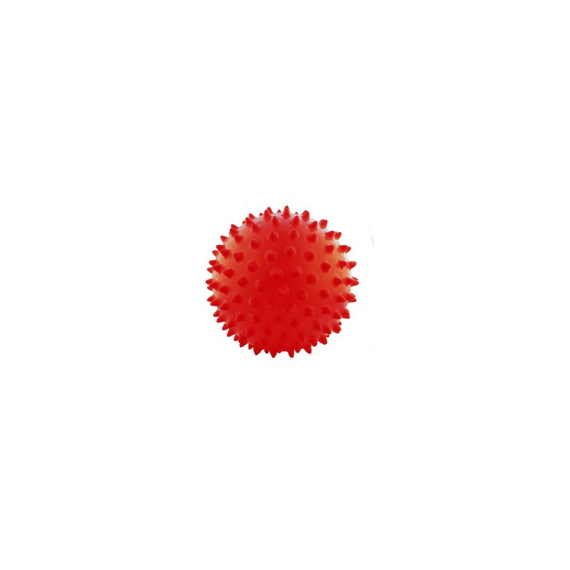 PELOTA MASAJE 65 CM