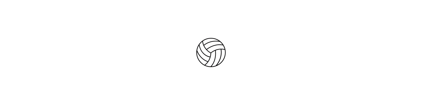 Balones Voleibol